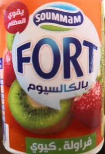 FORT