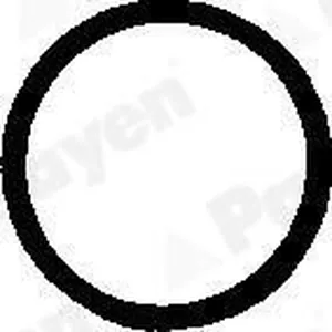 Packning, ventilkåpsskruvar PAYEN PB248