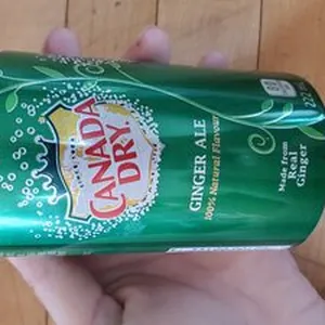 canada dry ginger ale