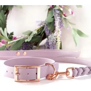 Tyylivoitto Classy Hundhalsband Stor Modell Lila S