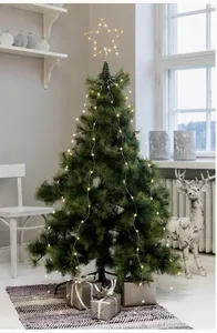 AIRAM Rioni Ljusslinga Stjärnor