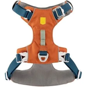 Woolly Wolf Alpha 360 Hundsele Terracotta/mörkblå XS