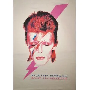 David Bowie David Bowie Aladdin sane långärmad t-shirt