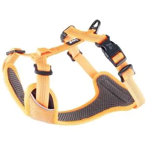 Feel Active Reflective Hundsele Orange L