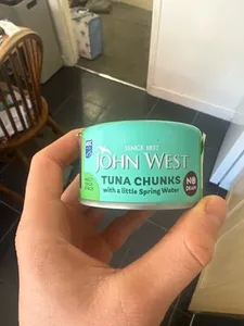 Tuna Chunks