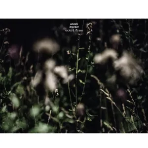 Drecker Anneli: Rocks & straws 2015