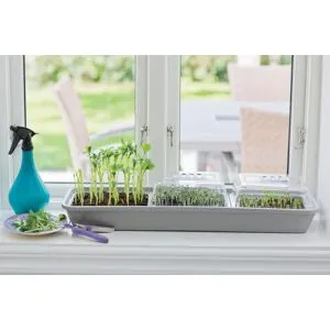 Nelson Garden Micro Leaf Minidrivhus 3-Box, Odling