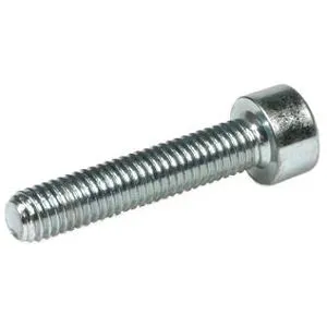 Schäfer & Peters 09124801060 Sexkanthålsskruv M10 Mc6s A4/80, Iso 4762, 50-Pack M10 X 60 Mm, Infästning