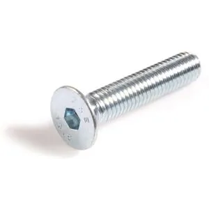 Schäfer & Peters 1064241020 Sexkanthålsskruv M10, 100-Pack, Mf6s A4, Iso 10642 M10 X 20 Mm, Infästning