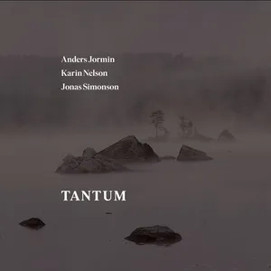 Jormin Anders/K Nelson/J Simonson: Tantum