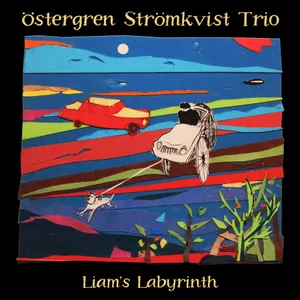Östergren Strömkvist Trio: Liam's Labyrinth