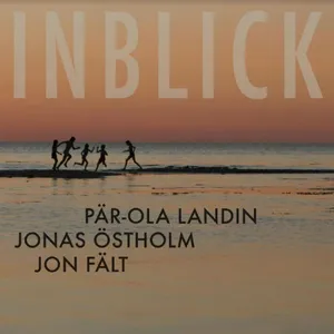 Landin Pär-Ola: Inblick