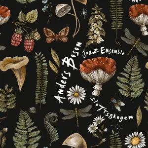Anders Boson Jazz Ensemble: Slottsskogen