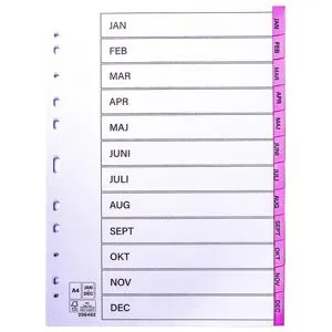 Non brand Register plastflik jan-dec rosa 10/fp