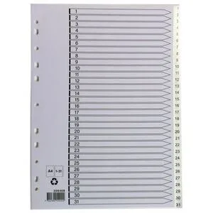 Non brand Plastregister A4 1-31 vit