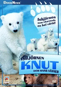 Isbjörnen Knut