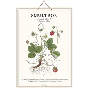 Strömshaga Skolplansch Smultron