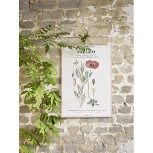 Strömshaga Skolplansch Vallmo