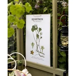 Strömshaga Skolplansch Hjortron