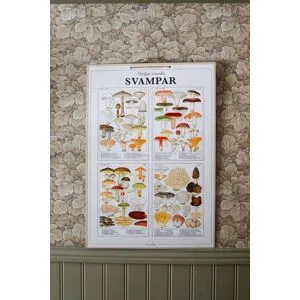 Strömshaga Skolplansch Svampar