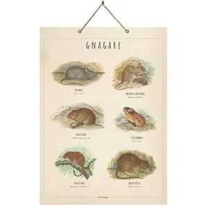 Strömshaga Skolplansch Gnagare