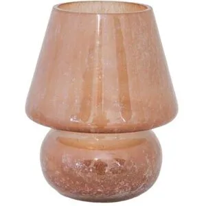 Strömshaga Ljuslykta Svamp Ljusbrun