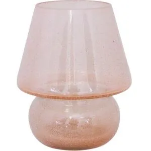 Strömshaga Ljuslykta Svamp Askrosa