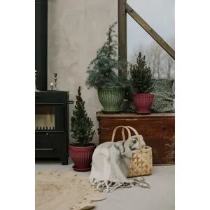 Strömshaga Kruka Anna 21 Cm Burgundy