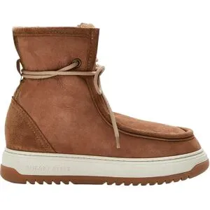 Sneaky Steve KAY U dam, Chestnut, 37