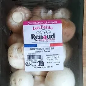 Champignons les petits renaud
