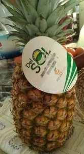 Ananas