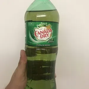 Ginger Ale Canada Dry