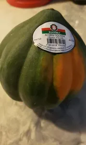 Acorn squash