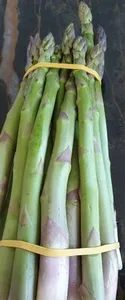 Asperges
