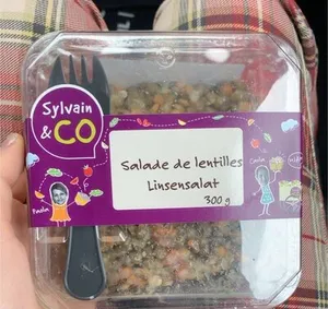 Salade de lentilles