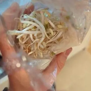Mungo sprouts