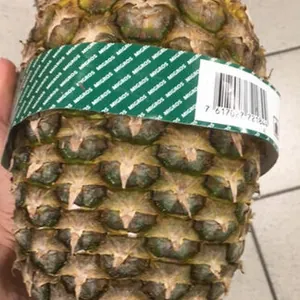 Ananas