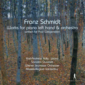 Schmidt Franz: Works for Piano Left Hand & Or...