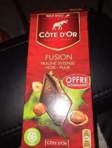 Chocolat noir praliné Côte d'Or