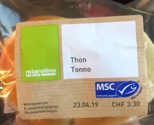 Sandwich au thon / Migrolino