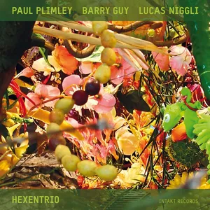 Plimley Paul/Barry Guy/L Niggli: Hexentrio