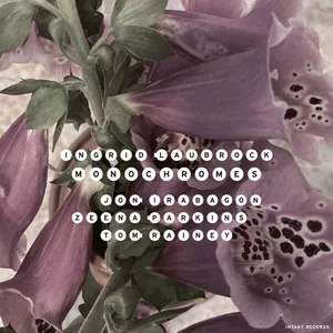 Laubrock Ingrid: Monochromes