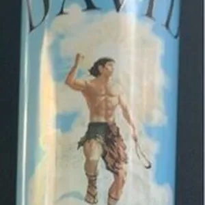David energy drink