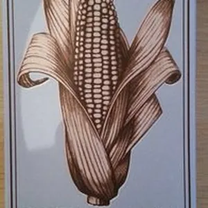 Pâtes de Maïs Radiatori