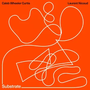 Caleb Wheeler Curtis & Laurent Nico: Substrate