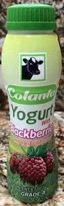 Colanta Yogurt With Blackberries