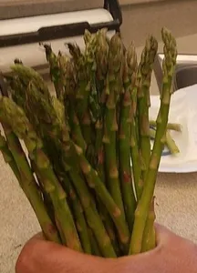Asparigus