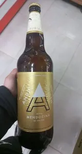 Andes Origen Mendocina