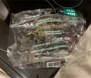 Green Seedless Grapes