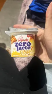 zero lacto FLAN